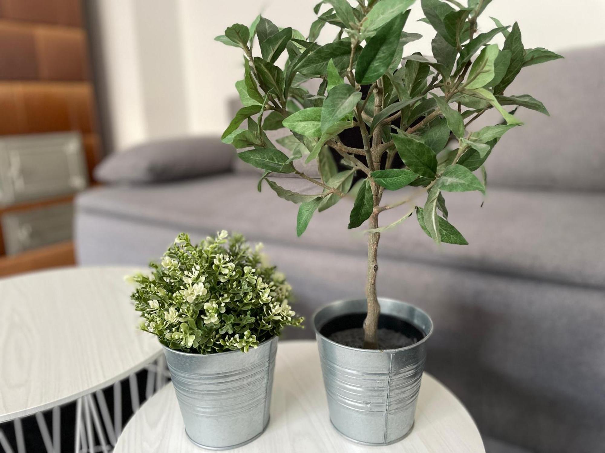 베를린 Sonne & Beton 아파트 외부 사진
